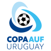 Uruguayischer Pokal