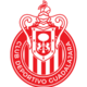 Guadalajara Logo