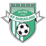 Dukagjini Logo