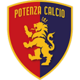 Potenza Logo