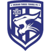 Wuhan Free Towns (B) Logo